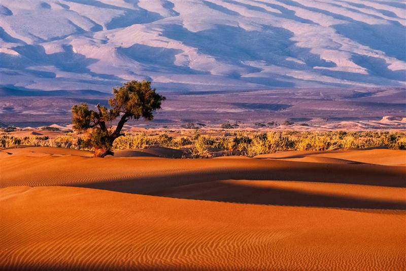 2 días de Marrakech al desierto de Zagora