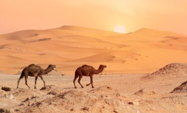 8 Days Coastal Tour from Fes